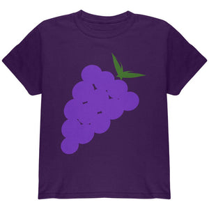Halloween Purple Grape Costume Youth T Shirt