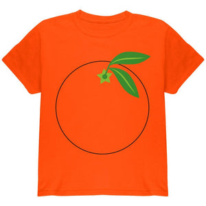 Halloween Fruit Orange Costume Youth T Shirt